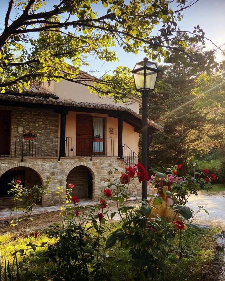 Le Querce Di Assisi Guest House Piano Delle Pieve Exterior foto